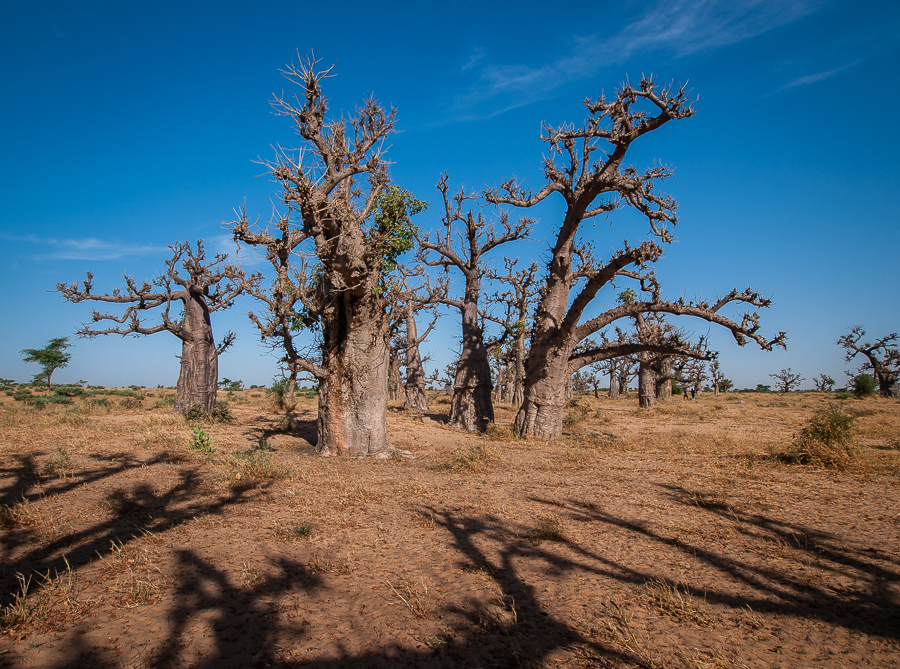 Kliknij obrazek, aby uzyskać większą wersję

Nazwa:	PC298518.JPG
Wyświetleń:	214
Rozmiar:	773,4 KB
ID:	166033
