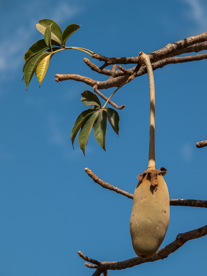 Kliknij obrazek, aby uzyskać większą wersję

Nazwa:	PC308838.JPG
Wyświetleń:	217
Rozmiar:	389,0 KB
ID:	166034