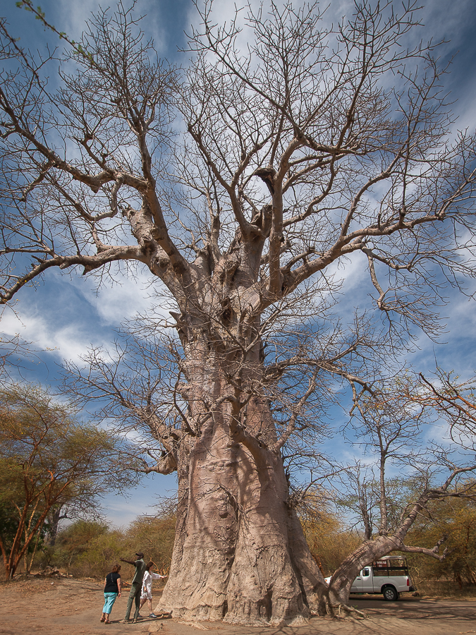 Kliknij obrazek, aby uzyskać większą wersję

Nazwa:	PC298663.JPG
Wyświetleń:	231
Rozmiar:	999,8 KB
ID:	166060