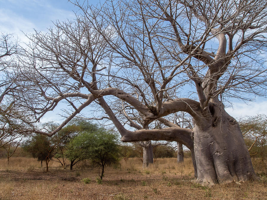 Kliknij obrazek, aby uzyskać większą wersję

Nazwa:	PC292210.jpg
Wyświetleń:	260
Rozmiar:	244,7 KB
ID:	166061