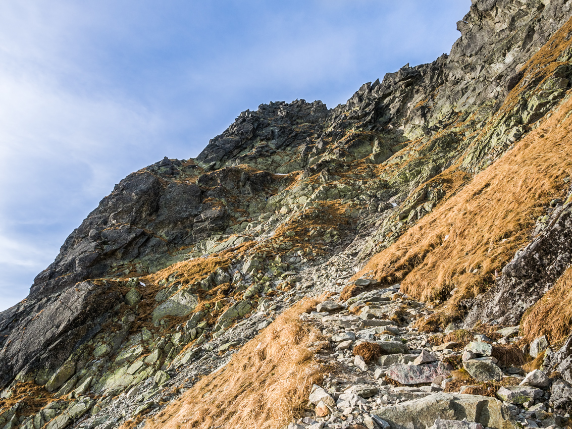 Kliknij obrazek, aby uzyskać większą wersję

Nazwa:	Swinica4Olek-2.JPG
Wyświetleń:	250
Rozmiar:	853,6 KB
ID:	166321