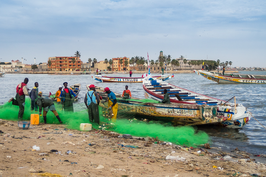 Kliknij obrazek, aby uzyskać większą wersję

Nazwa:	PC281998.JPG
Wyświetleń:	211
Rozmiar:	630,5 KB
ID:	166324