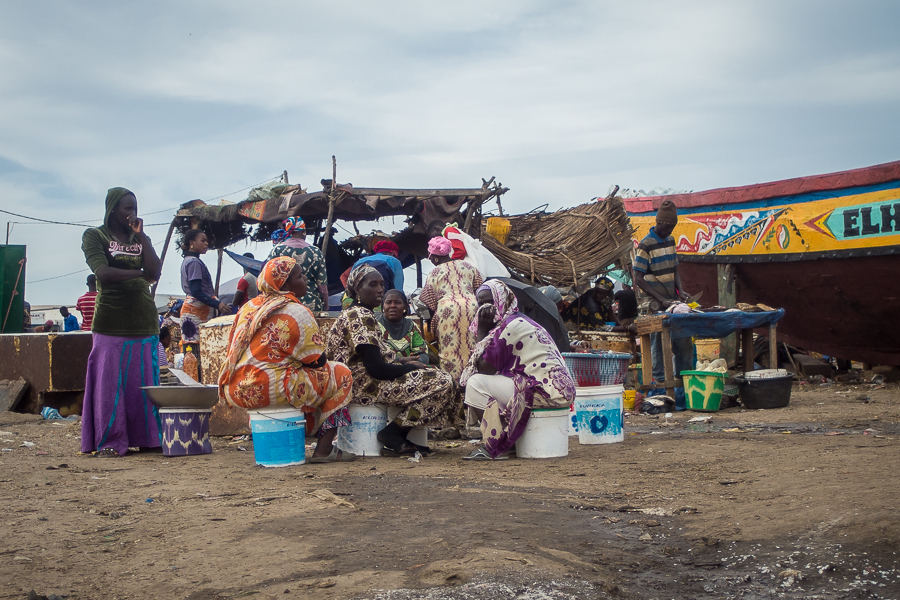 Kliknij obrazek, aby uzyskać większą wersję

Nazwa:	PC282009.JPG
Wyświetleń:	181
Rozmiar:	546,9 KB
ID:	166327