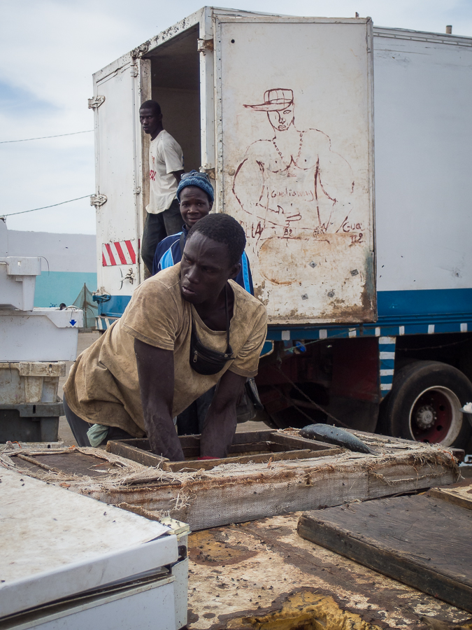 Kliknij obrazek, aby uzyskać większą wersję

Nazwa:	PC282011.JPG
Wyświetleń:	205
Rozmiar:	536,2 KB
ID:	166328