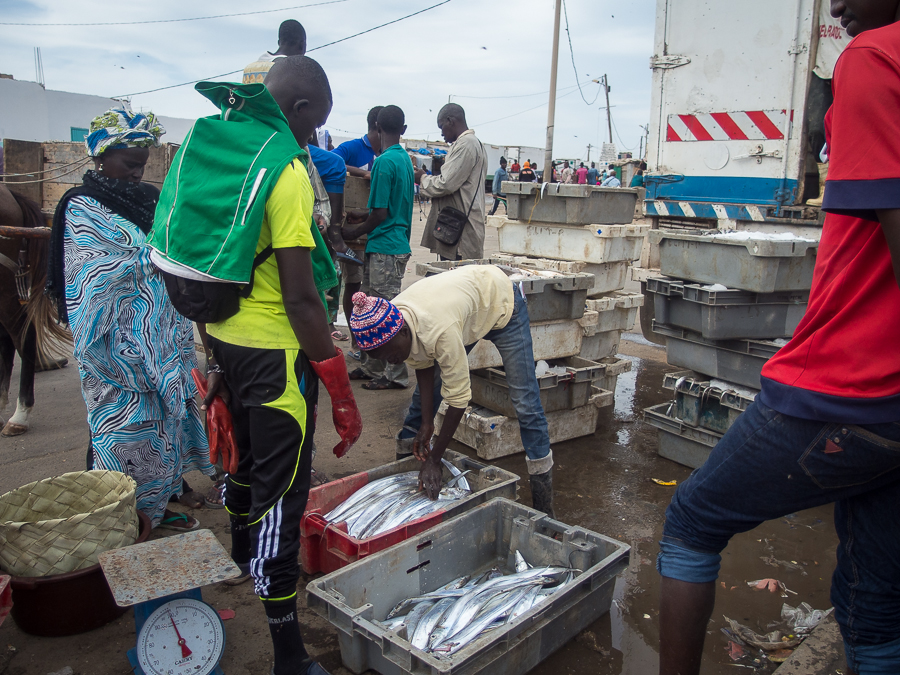 Kliknij obrazek, aby uzyskać większą wersję

Nazwa:	PC282012.JPG
Wyświetleń:	197
Rozmiar:	625,5 KB
ID:	166331