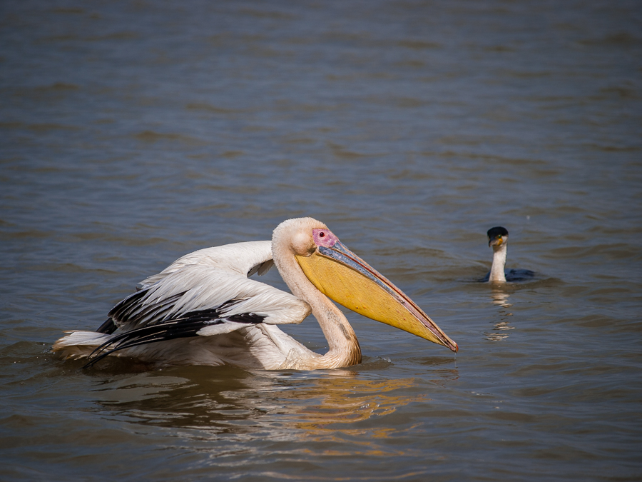 Kliknij obrazek, aby uzyskać większą wersję

Nazwa:	PC288257.JPG
Wyświetleń:	168
Rozmiar:	404,0 KB
ID:	166359