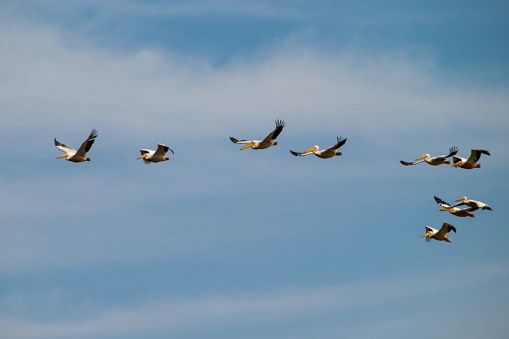 Kliknij obrazek, aby uzyskać większą wersję

Nazwa:	PC288278.JPG
Wyświetleń:	163
Rozmiar:	334,9 KB
ID:	166362