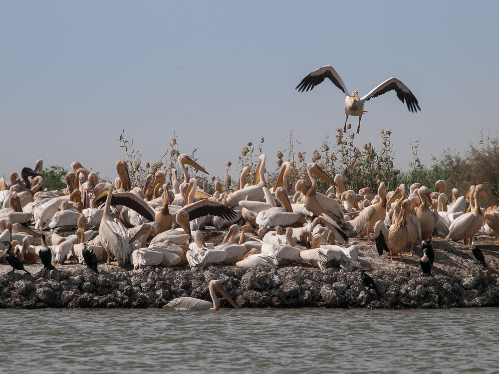 Kliknij obrazek, aby uzyskać większą wersję

Nazwa:	PC288366.JPG
Wyświetleń:	156
Rozmiar:	643,9 KB
ID:	166365