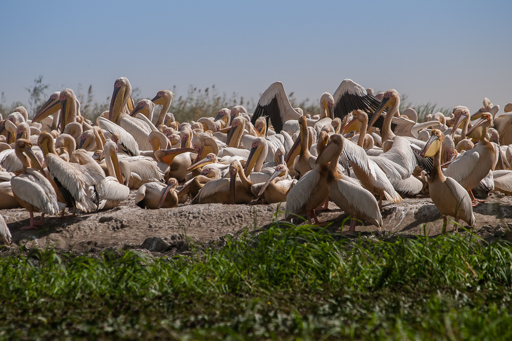 Kliknij obrazek, aby uzyskać większą wersję

Nazwa:	PC288395.JPG
Wyświetleń:	174
Rozmiar:	638,3 KB
ID:	166366
