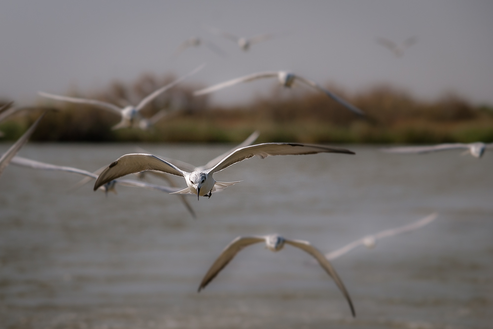 Kliknij obrazek, aby uzyskać większą wersję

Nazwa:	PC288332.JPG
Wyświetleń:	152
Rozmiar:	233,7 KB
ID:	166381