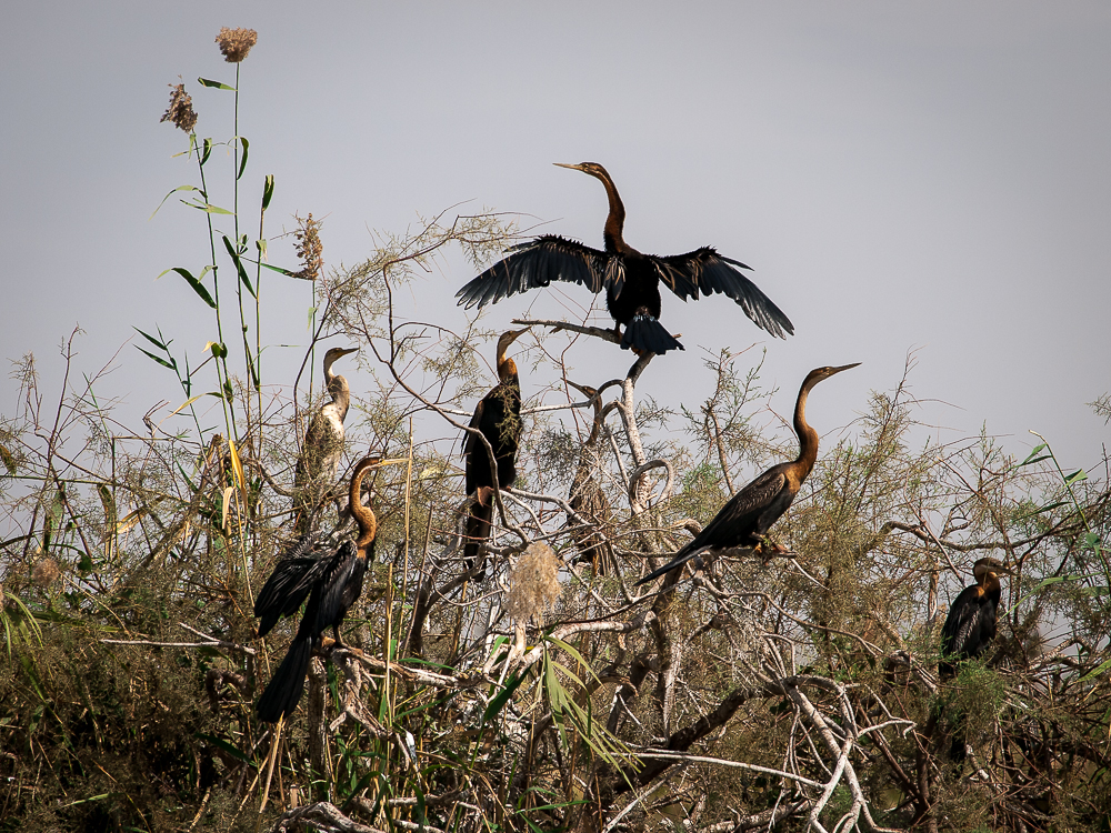 Kliknij obrazek, aby uzyskać większą wersję

Nazwa:	PC288340-2.JPG
Wyświetleń:	316
Rozmiar:	933,1 KB
ID:	166397