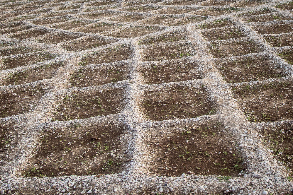 Kliknij obrazek, aby uzyskać większą wersję

Nazwa:	PC292239.jpg
Wyświetleń:	294
Rozmiar:	304,8 KB
ID:	166442