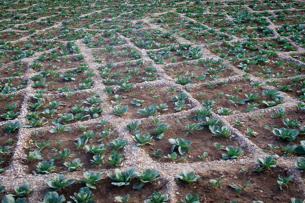 Kliknij obrazek, aby uzyskać większą wersję

Nazwa:	PC292240.jpg
Wyświetleń:	293
Rozmiar:	276,2 KB
ID:	166443