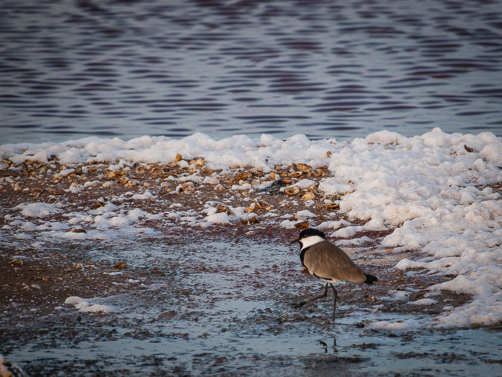 Kliknij obrazek, aby uzyskać większą wersję

Nazwa:	PC298724-2.JPG
Wyświetleń:	294
Rozmiar:	857,6 KB
ID:	166444