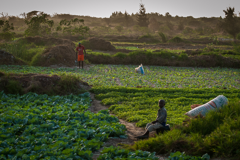 Kliknij obrazek, aby uzyskać większą wersję

Nazwa:	PC298736.JPG
Wyświetleń:	293
Rozmiar:	877,6 KB
ID:	166446