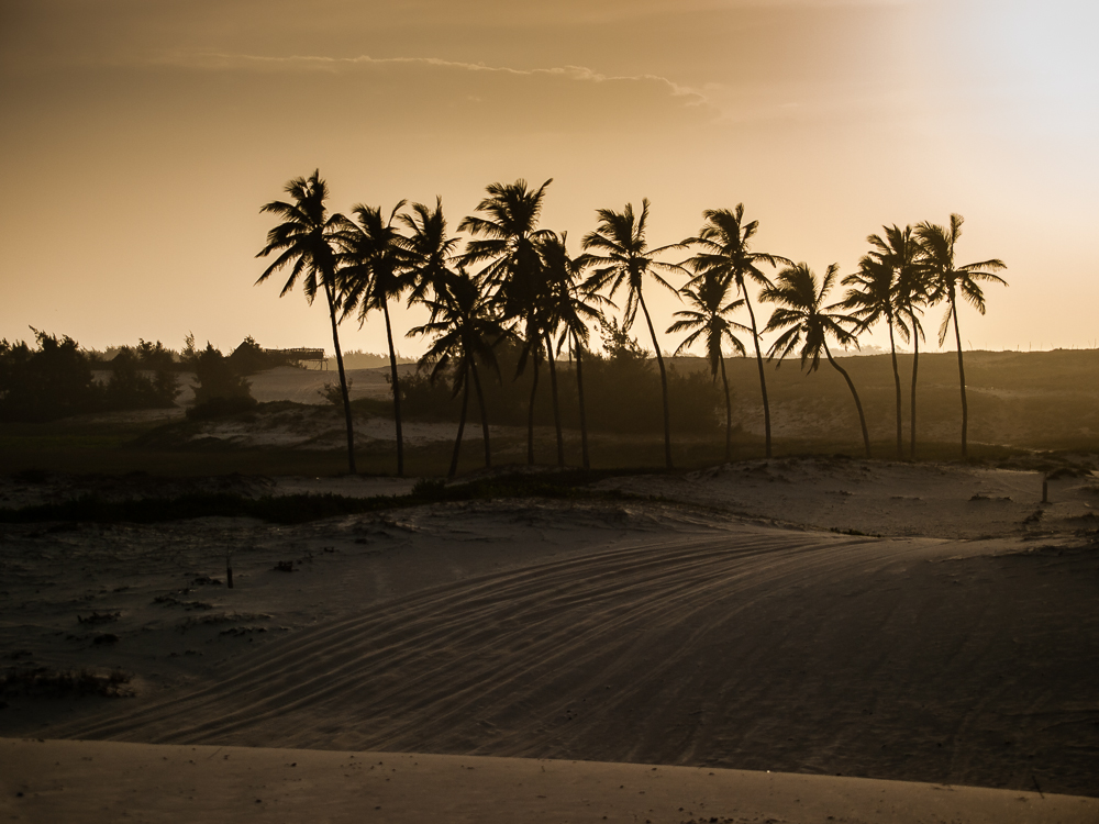 Kliknij obrazek, aby uzyskać większą wersję

Nazwa:	PC298762.JPG
Wyświetleń:	202
Rozmiar:	489,3 KB
ID:	166532