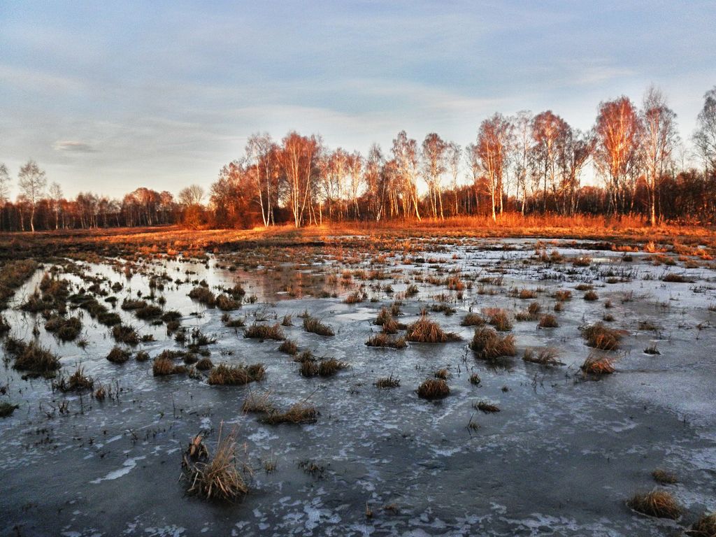 Kliknij obrazek, aby uzyskać większą wersję

Nazwa:	rano_1.jpg
Wyświetleń:	109
Rozmiar:	185,0 KB
ID:	166539