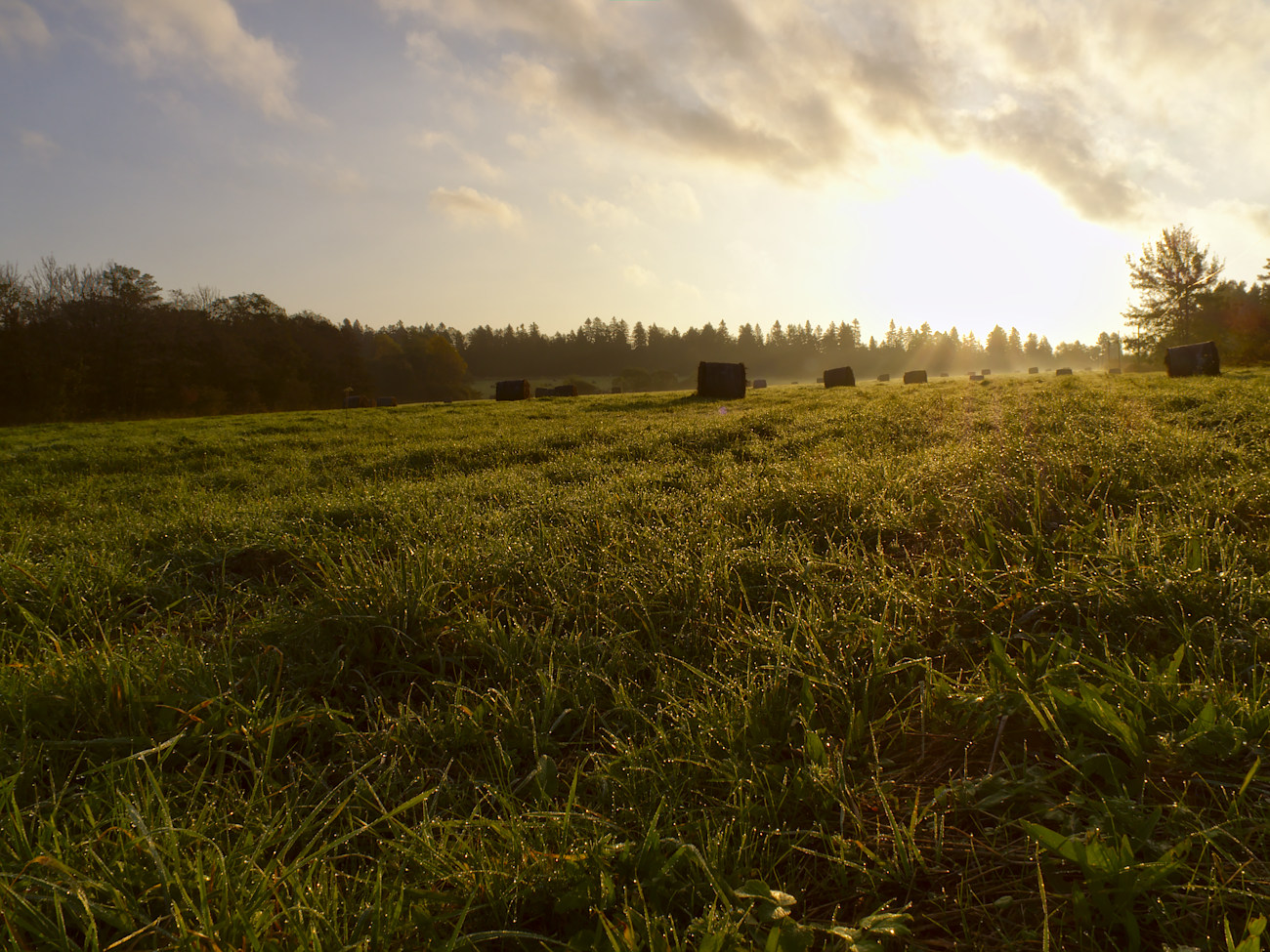 Kliknij obrazek, aby uzyskać większą wersję

Nazwa:	PA110054bp.jpg
Wyświetleń:	770
Rozmiar:	474,6 KB
ID:	166611