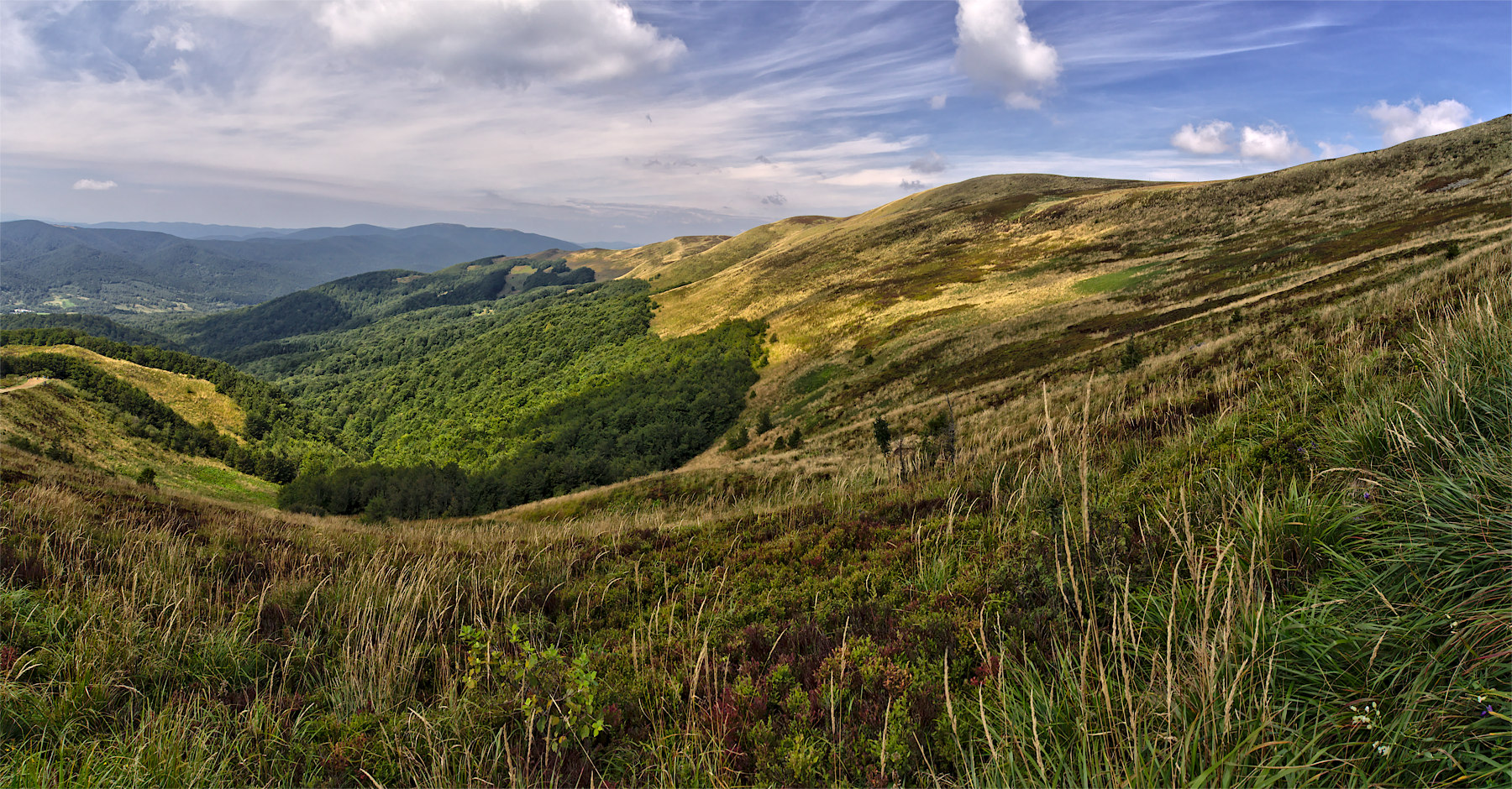 Kliknij obrazek, aby uzyskać większą wersję

Nazwa:	P8300387-89.jpg
Wyświetleń:	680
Rozmiar:	771,0 KB
ID:	166678