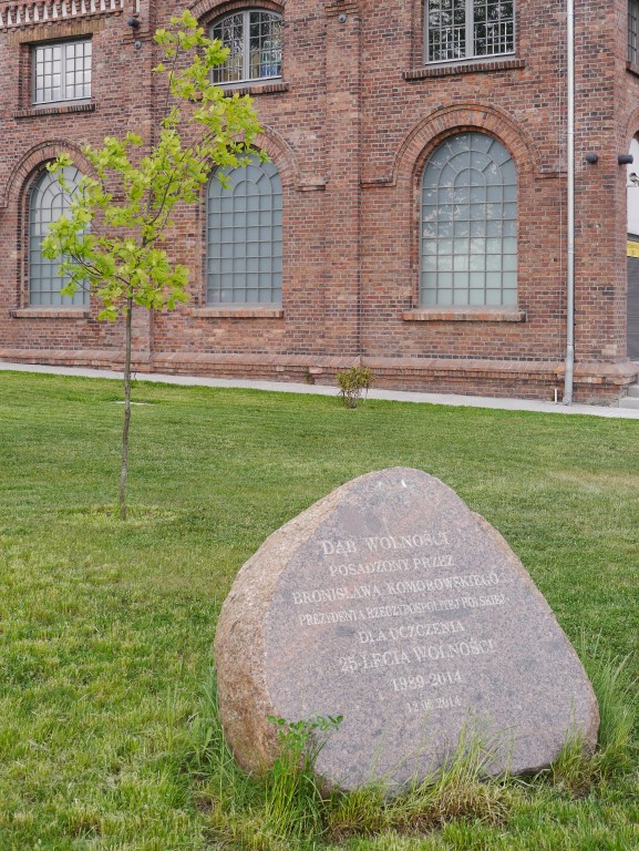 Kliknij obrazek, aby uzyskać większą wersję

Nazwa:	''DÄb WolnoĹci''.jpg
Wyświetleń:	172
Rozmiar:	198,7 KB
ID:	166687