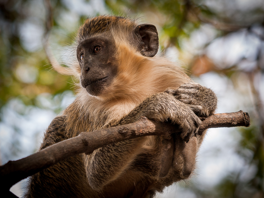 Kliknij obrazek, aby uzyskać większą wersję

Nazwa:	PC298707.JPG
Wyświetleń:	170
Rozmiar:	539,2 KB
ID:	166705