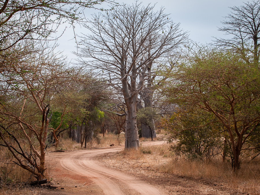 Kliknij obrazek, aby uzyskać większą wersję

Nazwa:	PC298547.JPG
Wyświetleń:	158
Rozmiar:	990,2 KB
ID:	166706