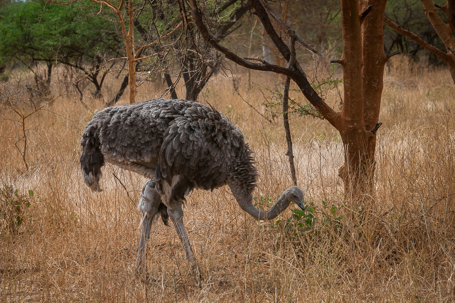 Kliknij obrazek, aby uzyskać większą wersję

Nazwa:	PC298549.JPG
Wyświetleń:	165
Rozmiar:	785,9 KB
ID:	166707