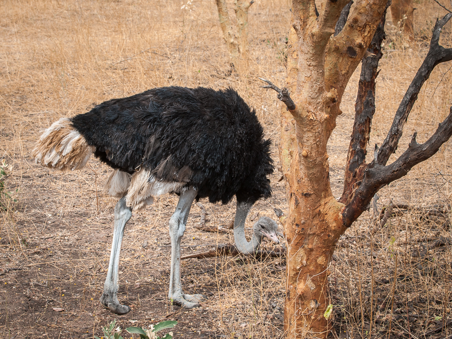 Kliknij obrazek, aby uzyskać większą wersję

Nazwa:	PC298553-2.JPG
Wyświetleń:	168
Rozmiar:	907,0 KB
ID:	166708