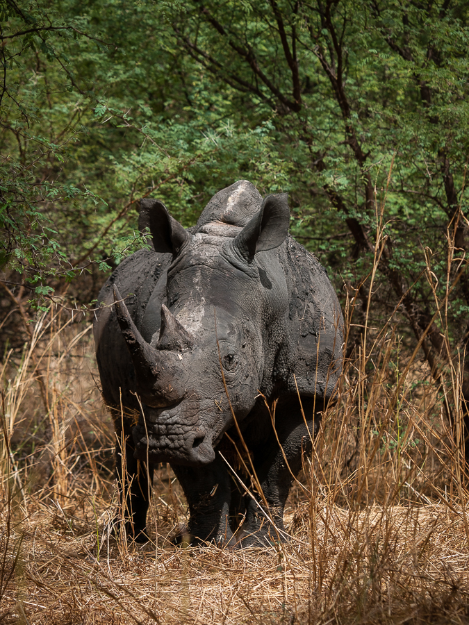 Kliknij obrazek, aby uzyskać większą wersję

Nazwa:	PC298618.JPG
Wyświetleń:	157
Rozmiar:	870,4 KB
ID:	166709