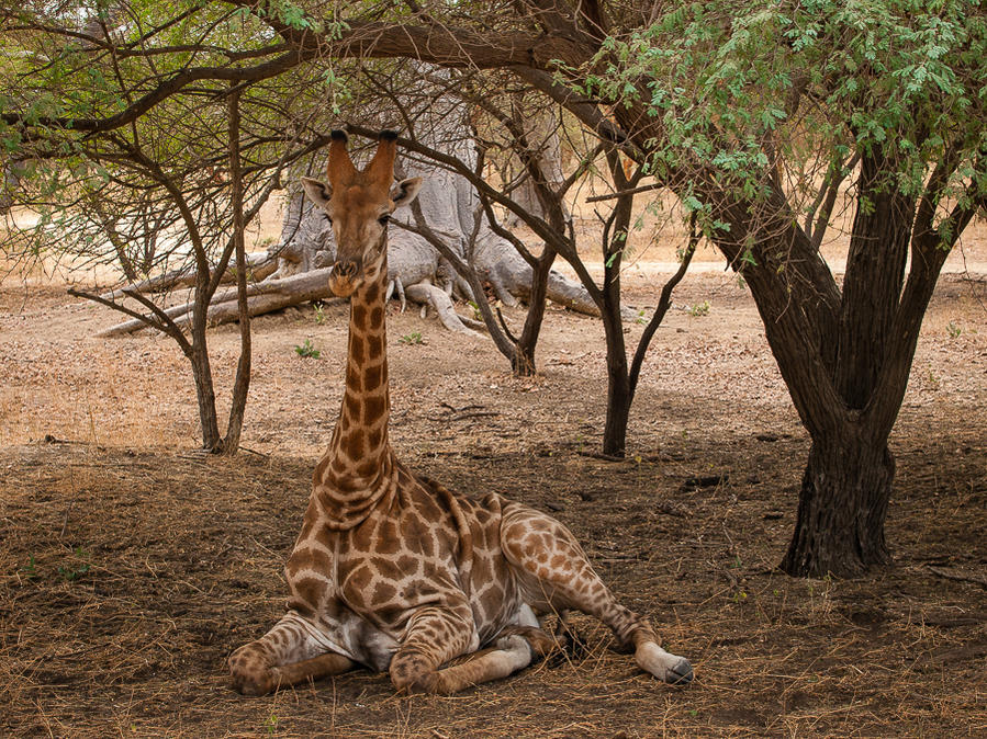 Kliknij obrazek, aby uzyskać większą wersję

Nazwa:	PC298564.jpg
Wyświetleń:	181
Rozmiar:	235,1 KB
ID:	166760