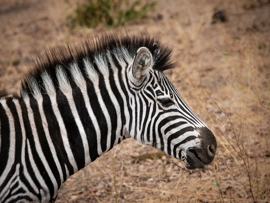 Kliknij obrazek, aby uzyskać większą wersję

Nazwa:	PC298575.JPG
Wyświetleń:	173
Rozmiar:	557,2 KB
ID:	166768