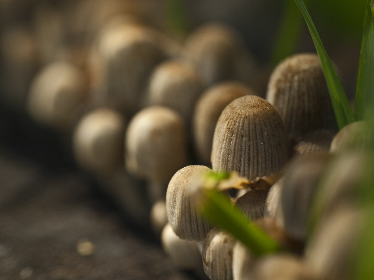 Kliknij obrazek, aby uzyskać większą wersję

Nazwa:	CM167193a1200.jpg
Wyświetleń:	1088
Rozmiar:	553,2 KB
ID:	166792