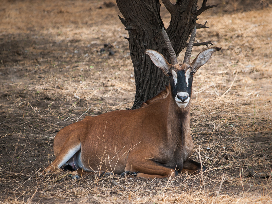 Kliknij obrazek, aby uzyskać większą wersję

Nazwa:	PC298630-2.JPG
Wyświetleń:	195
Rozmiar:	759,1 KB
ID:	166853