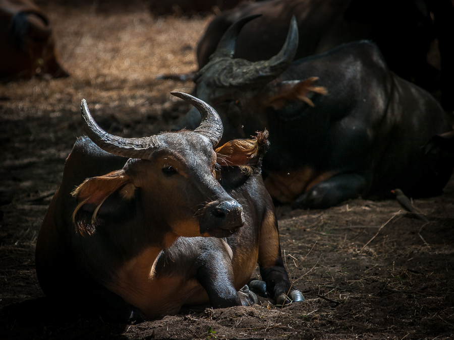 Kliknij obrazek, aby uzyskać większą wersję

Nazwa:	PC298642.JPG
Wyświetleń:	202
Rozmiar:	456,8 KB
ID:	166854