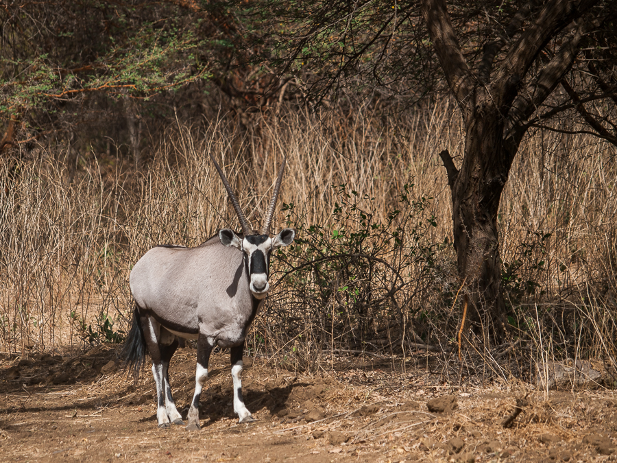 Kliknij obrazek, aby uzyskać większą wersję

Nazwa:	PC298665.JPG
Wyświetleń:	193
Rozmiar:	928,2 KB
ID:	166855