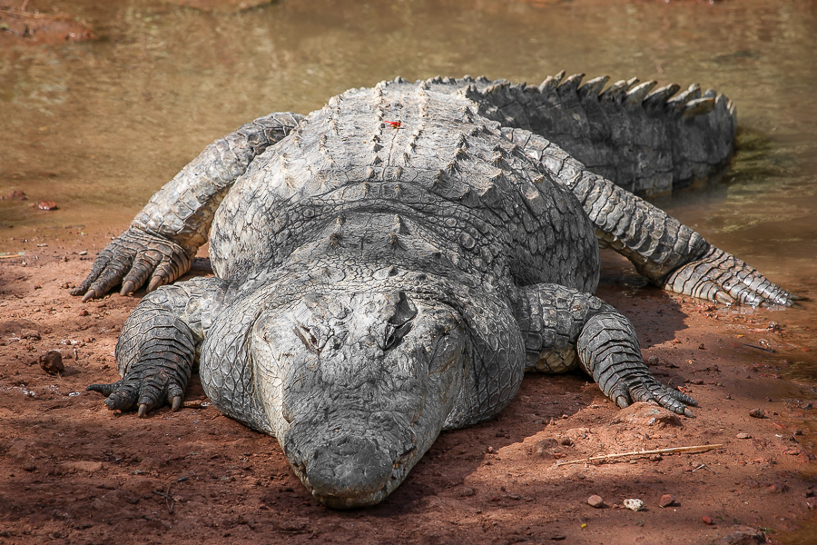 Kliknij obrazek, aby uzyskać większą wersję

Nazwa:	PC298686.JPG
Wyświetleń:	206
Rozmiar:	642,1 KB
ID:	166857