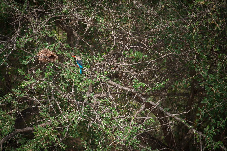Kliknij obrazek, aby uzyskać większą wersję

Nazwa:	PC298692.JPG
Wyświetleń:	179
Rozmiar:	823,3 KB
ID:	166858