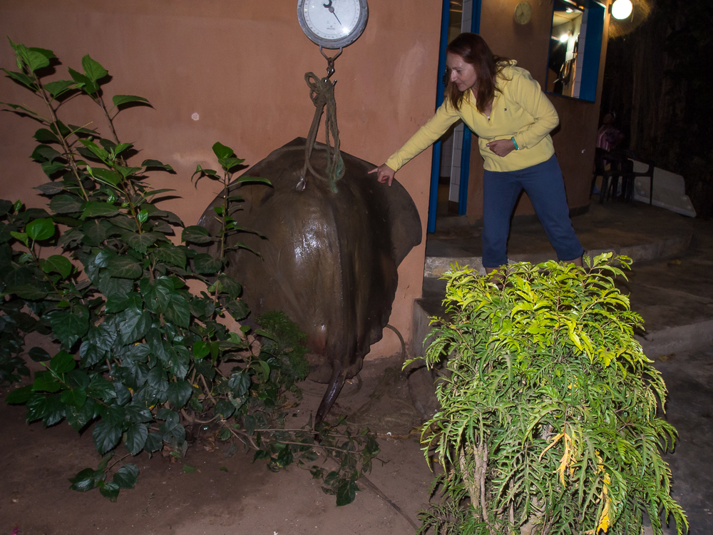 Kliknij obrazek, aby uzyskać większą wersję

Nazwa:	PC211680.JPG
Wyświetleń:	174
Rozmiar:	727,7 KB
ID:	167151