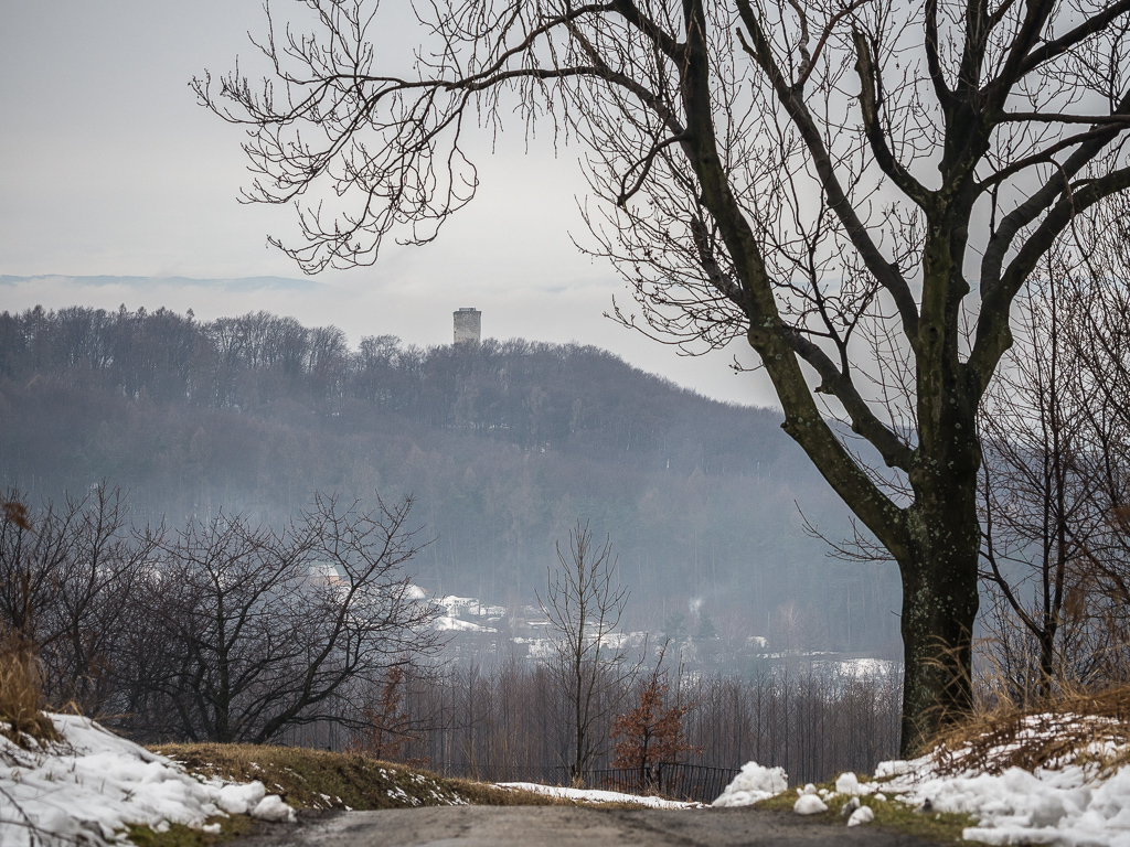 Kliknij obrazek, aby uzyskać większą wersję

Nazwa:	P2130252_web.jpg
Wyświetleń:	389
Rozmiar:	583,8 KB
ID:	167313