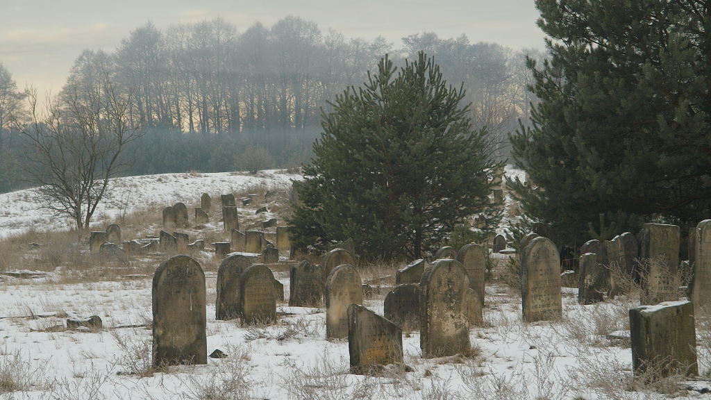 Kliknij obrazek, aby uzyskać większą wersję

Nazwa:	19012016_KK194996.1.jpg
Wyświetleń:	223
Rozmiar:	420,6 KB
ID:	167517