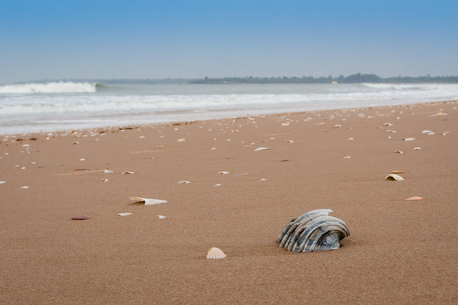 Kliknij obrazek, aby uzyskać większą wersję

Nazwa:	PC241786.JPG
Wyświetleń:	171
Rozmiar:	419,0 KB
ID:	167521