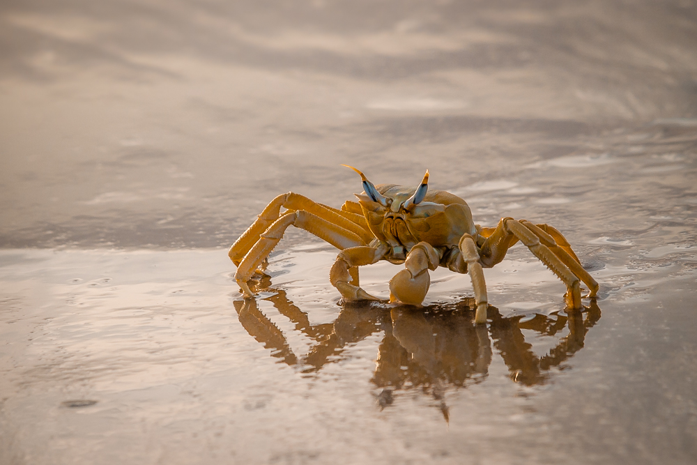 Kliknij obrazek, aby uzyskać większą wersję

Nazwa:	PC288491-2.JPG
Wyświetleń:	148
Rozmiar:	424,1 KB
ID:	167532