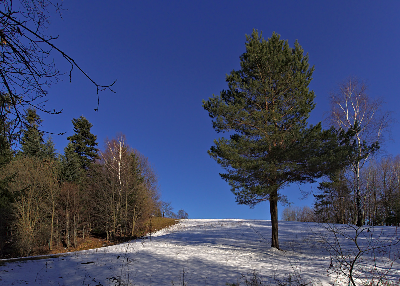 Kliknij obrazek, aby uzyskać większą wersję

Nazwa:	P2140460bp.jpg
Wyświetleń:	316
Rozmiar:	463,9 KB
ID:	167541