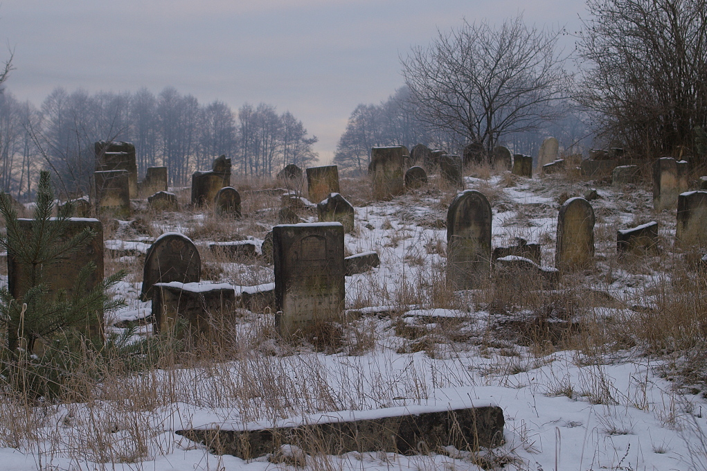 Kliknij obrazek, aby uzyskać większą wersję

Nazwa:	19012016_KK195002.JPG
Wyświetleń:	225
Rozmiar:	531,4 KB
ID:	167650