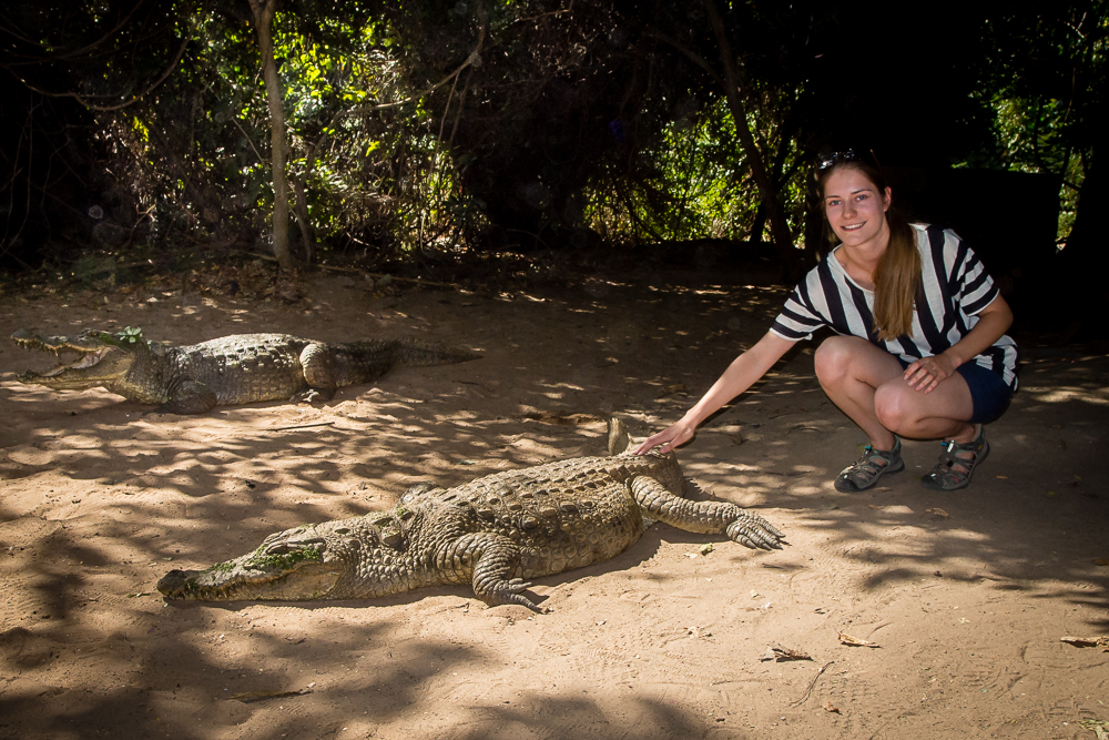 Kliknij obrazek, aby uzyskać większą wersję

Nazwa:	P1012408.JPG
Wyświetleń:	141
Rozmiar:	746,0 KB
ID:	167680