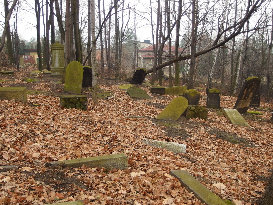 Kliknij obrazek, aby uzyskać większą wersję

Nazwa:	P2181657.jpg
Wyświetleń:	526
Rozmiar:	522,8 KB
ID:	167706