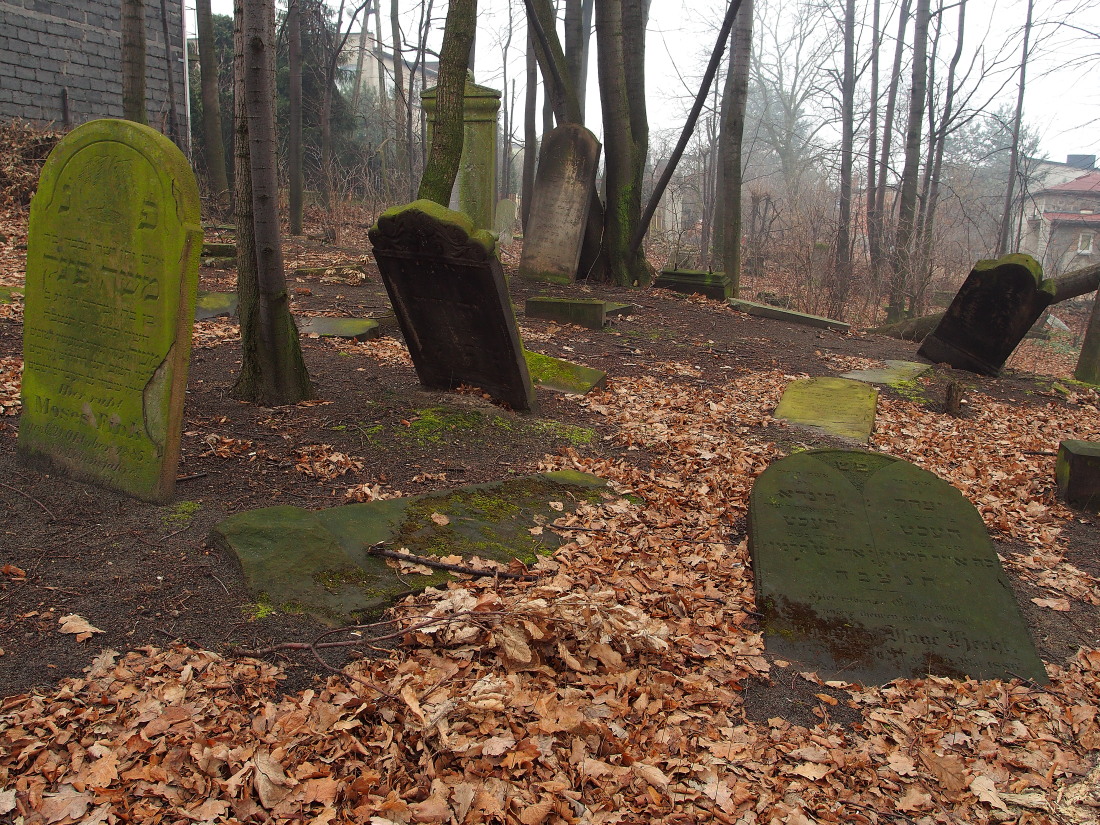 Kliknij obrazek, aby uzyskać większą wersję

Nazwa:	P2181630.jpg
Wyświetleń:	539
Rozmiar:	519,5 KB
ID:	167709