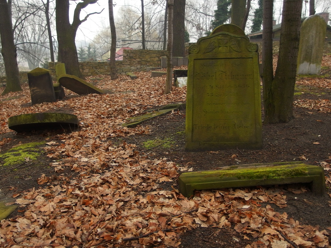 Kliknij obrazek, aby uzyskać większą wersję

Nazwa:	P2181650.jpg
Wyświetleń:	513
Rozmiar:	435,3 KB
ID:	167711