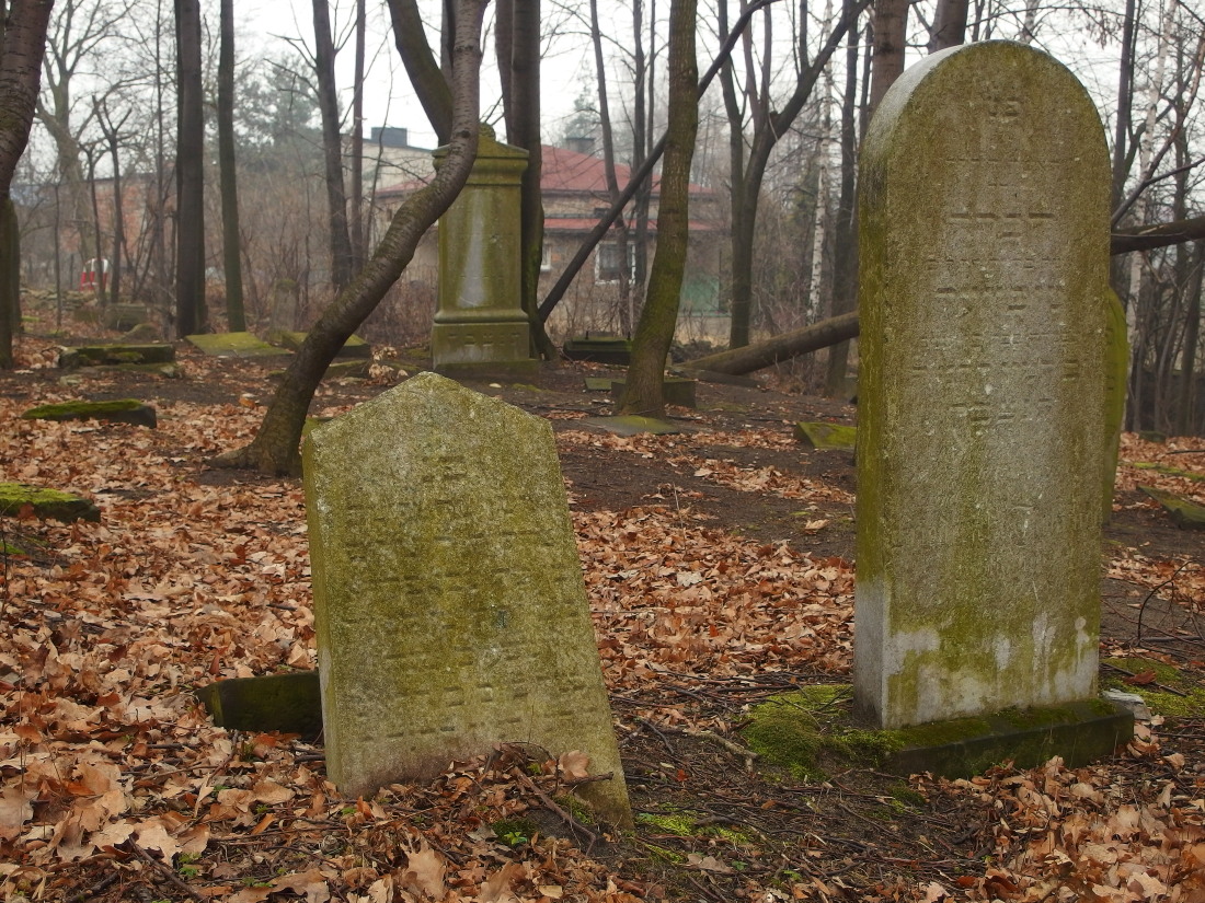 Kliknij obrazek, aby uzyskać większą wersję

Nazwa:	P2181652.jpg
Wyświetleń:	501
Rozmiar:	434,0 KB
ID:	167713