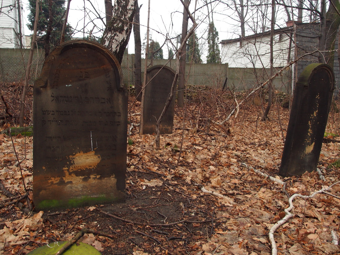 Kliknij obrazek, aby uzyskać większą wersję

Nazwa:	P2181636.jpg
Wyświetleń:	509
Rozmiar:	450,6 KB
ID:	167722